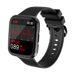 Hazel Zg21 Smartwatch 1.69inch TFT 240x280 Message Reminder OEM Wristband