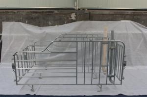 China hot dip galvanized farming farrowing crates farrowing pen for pigs factory
