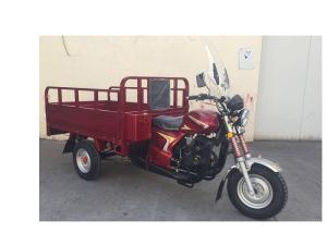 China 4 Stroke CG Engine 3 Wheel Cargo Motorcycle Tricycle For Selling Fruit Vegetable factory