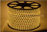 SMD3014 IP65 Flex Led Strip Light 100m/ Roll Outdoor Landscape Decoration