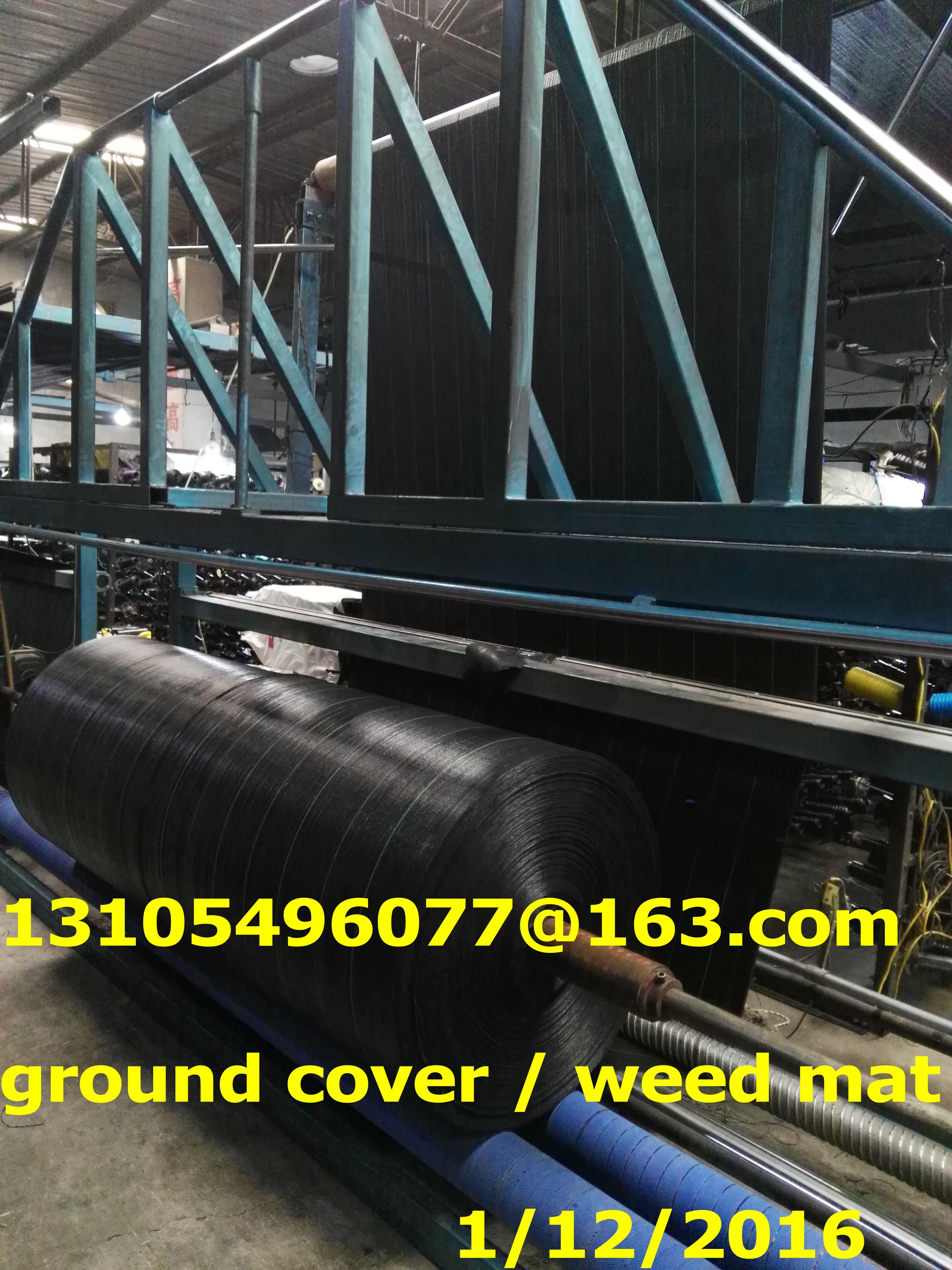 2m x 25m 100g Weed Control + Pegs + Sheet Ground Cover Membrane Landscape Fabric