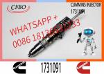 Diesel Fuel Pump Unit Injector Assembly 1731091 579253 579264 1846351 Engine