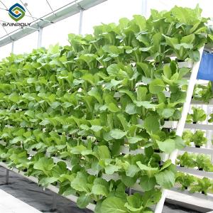 China Soilless Culture Tomato Greenhouse With Nft Hydroponic System factory