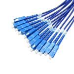 LC To SC Multi Mode Fiber Optic Patch Cord 12 Core 3m 10Gb