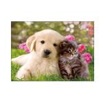 Lovely Cats And Dogs 3D Lenticular Pictures Printing Customized Size
