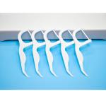 Factory Price Oral Care Eco Friendly Advanced Clean Toothpick Dental Flosser