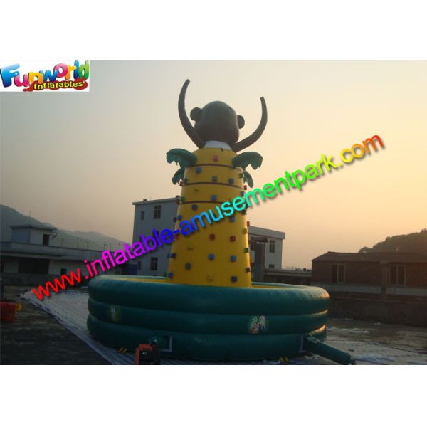 Customized Inflatable Rock Climbing Wall Sport Climbing Games Outdoor