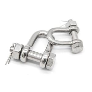 China Straight Ss304 Ss316 Heavy Duty D Ring Shackle factory