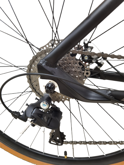 Alloy Cassette 29 Inch Mountain Bike with Hydraulic Disc Brake and Aluminum Alloy Frame