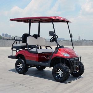 China Custom Club Car Precedent Hinged Golf Cart Tinted Windshield on sale