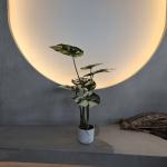 Insect Resistant Faux Monstera Tree 70-100cm For Low Maintenance Decor