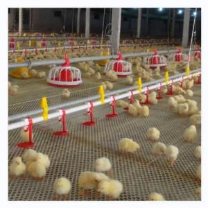 China Chicken Coop Automatic Poultry Farm Equipment With Ventilation System factory