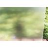 Buy cheap Grade A Transparent Solar Glass , 3.2mm Safety Low Iron Clear Tempered Glass from wholesalers