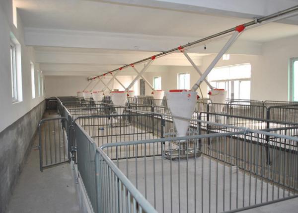Hot Dip Galvanized Piggery Farm Equipment PVC board Weaner Raised Farrowing