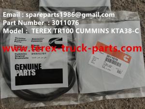 China 3011076 SEAL TEREX CUMMINS DUMP TRUCK TR50 TR60 TR100 TR70 MINING HAULER OFF HIGHWAY RIGID DUMP TRUCK MT4400AC factory