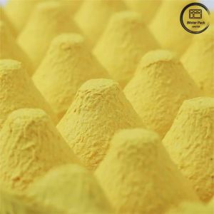 30 Hole Biodegradable Recycled Paper Egg Tray , Customizable Reusable Egg