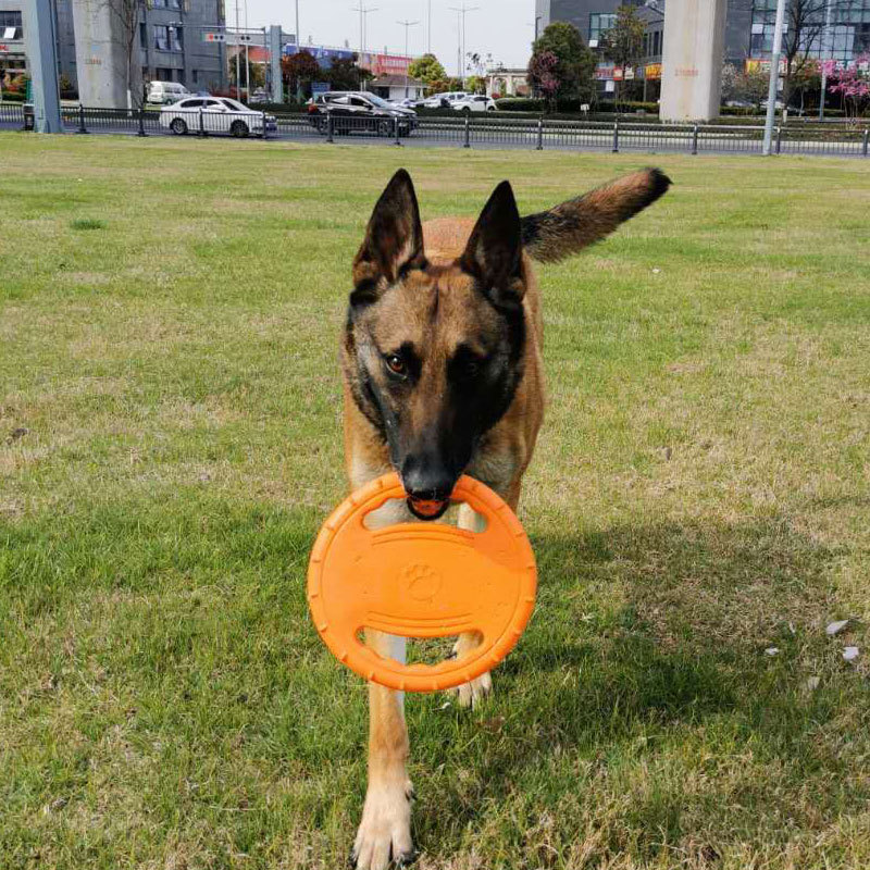 Dog Flying Play Toy Function Outdoor EVA Dog Flying Disc Durable Training Toy