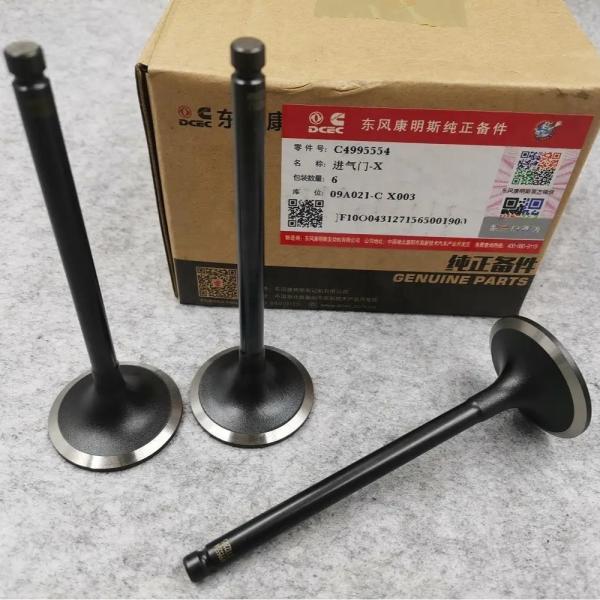 Original Metal Orignal 6BT5.9 Engine Intake Valve for Dongfeng Cumminss 3802355