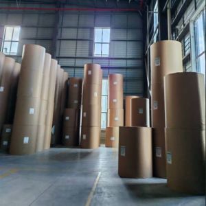 China Factory-Direct Oil-Proof and Moisture-Proof Food-Grade PLA Coated Roll Paper for Sugar Bags and Coffee Bags Food-Grade Packaging on sale