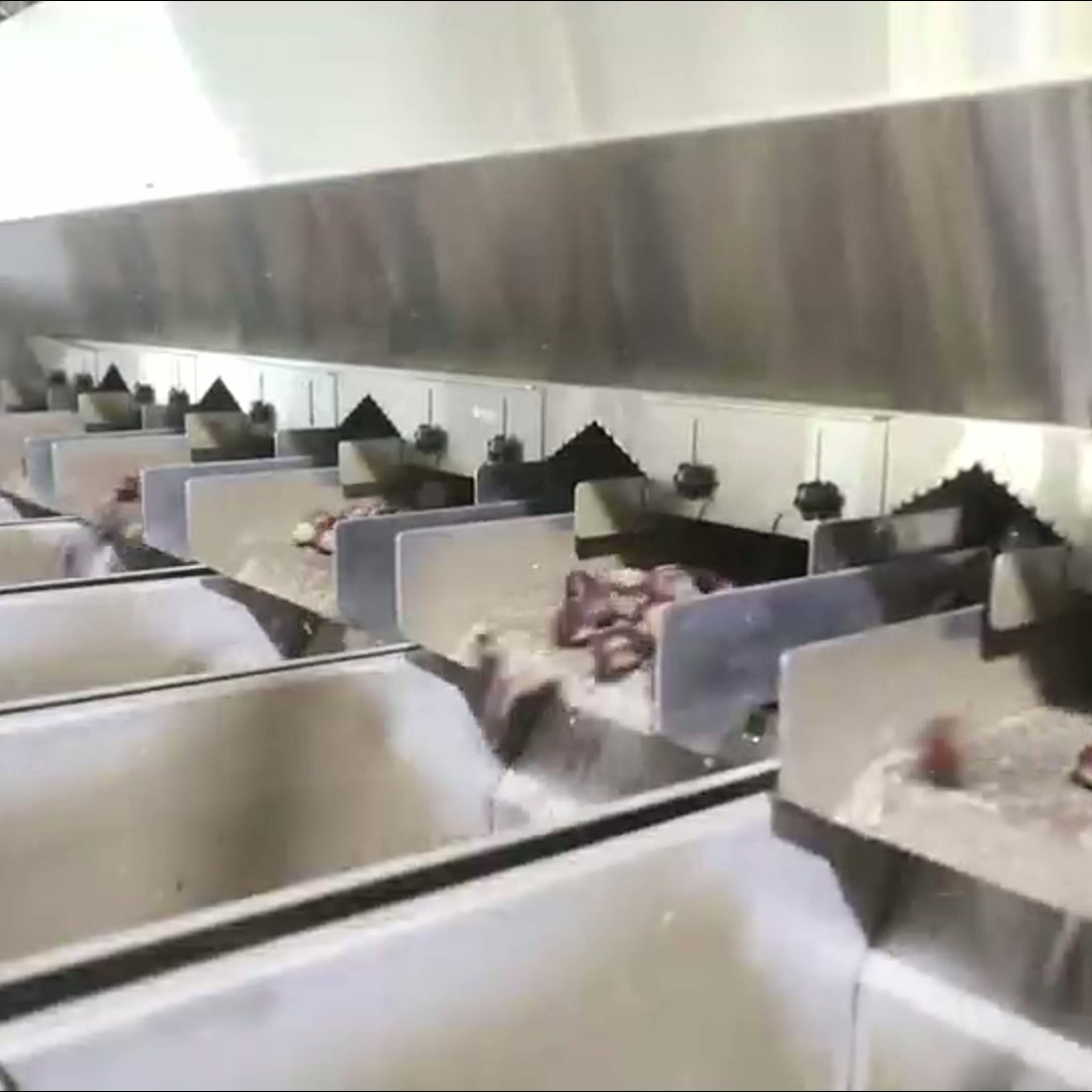 China High Accuracy, Intelligent Chestnut Sorting Machine, with 6-12 lanes + 8 outlets Offering Labor Savings and 3.3 Tons per Hour Output. factory