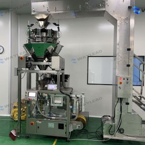 Automatic Pouch Packing Machine 10-80bags/min 380V