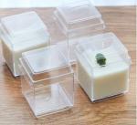 Disposable Plastic Dessert Cup With Lid Clear Disposable Plastic Dessert Tumbler