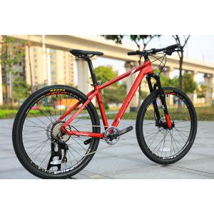 China Aluminum Mountain Bike Downhill Mtb 13.9kg Bike Weight with Aluminum Fork Material factory