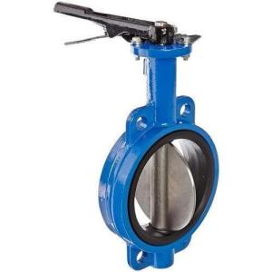 China AWWA Ductile Iron Flanged Butt Weld Butterfly Valve DN2800 PN10 factory