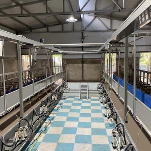 China Digital Electric Meter Sheep Goat Milking Parlour New Condition Equipment factory