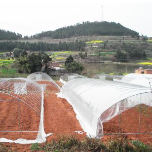 China Polytunnel Plastic Film Agricultural Sawtooth Greenhouse Multi-span factory