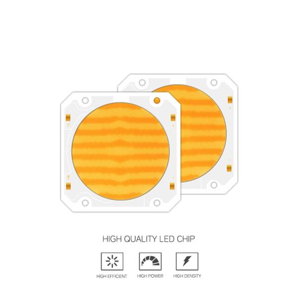 OEM ODM wavelength BI Color 205V smd led chip Warm white + white 6060 SMD LED