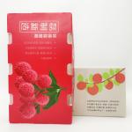 Leiser Anti Rodent Hand Carry Box CMYK Fruit Corrugated Box