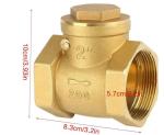 DN50 Female Thread Brass Non Return Swing Check Valve 232PSI