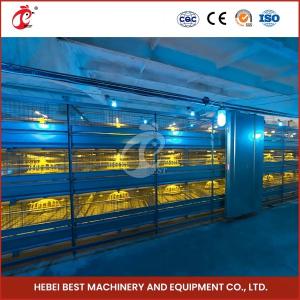 China Space Saving Automatic Broiler Cage System For 120-200 Chickens Rose factory