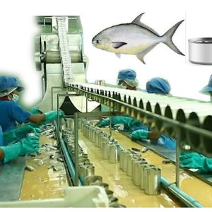High Capacity Canned Sardines Making Machine With Automatic Grade Automatic
