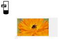 55 Inch High Brightness Ceiling Mounted Digital Signage