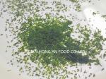 Authentic Flavor Aonori Green Seasoning Seaweed Powder Customized