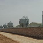 Hot Dip Galvanized Silo Feed Bin 2.5 - 45 Tons Automatic Chicken Feeding