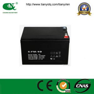China 12V10ah AGM Lead Acid Battery Electric Sprayer Rechargeable Storage Battery factory
