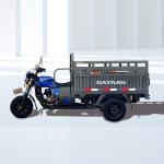 Heat Dissipation 4 Stroke 50 Type Motorcycle Tricycles for Heavy Duty Cargo