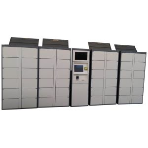 Electronic Laundry Locker With Hanger And Remote Platform For Indoor Public