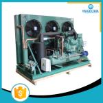 Industrial cold room refrigeration compressor unit