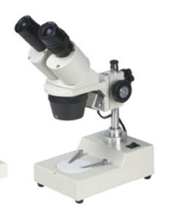 China Fixed Magnification Stereo Microscope XTX-204B factory
