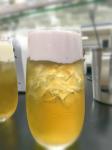 Dairy Industry Compound Food Grade Emulsifiers For Ice Cream Foaming Agent For