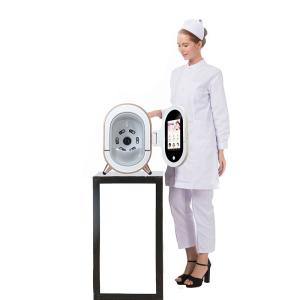 China Household Smart Mirror Face Recognition Max Multifunctional Beauty Machine factory
