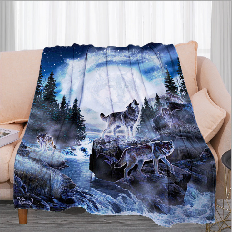 Machine Weaved Printing Polyester Fleece Blanket For All Season