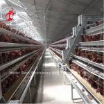 A H Type Automatic Laying Chicken Poultry Farming Cage System In Africa Market