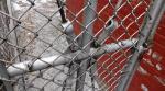 chain wire fence roll