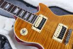 Slash 1959 Les standard Reissue tiger flame electric guitar, Slash signature LP