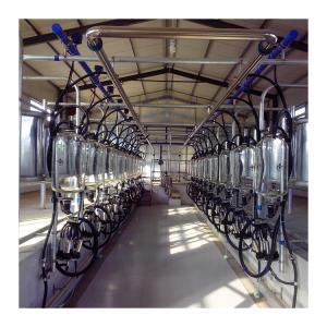 China Dairy Farm Fishbone Automatic Herringbone Milking Parlour Low Noise factory